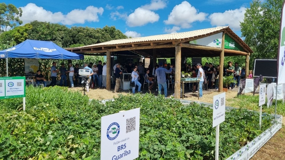 Embrapa leva mais de 40 tecnologias para a feira Norte Show