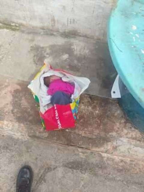 Recém-nascida é jogada no lixo em Cuiabá e sobrevive