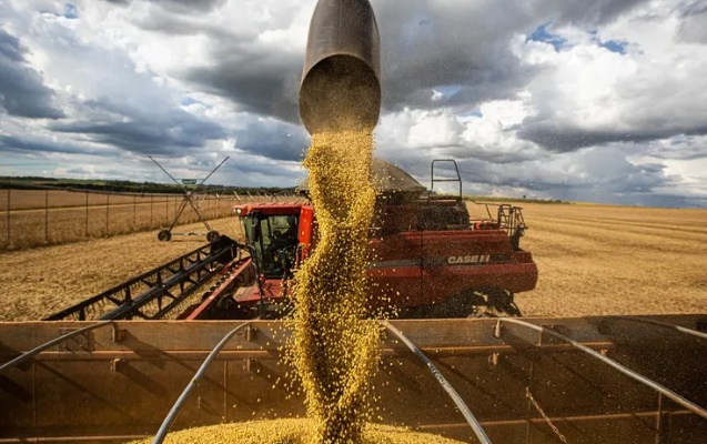 Agro bate recorde e exporta R$ 223 bilhões no 1º trimestre de 2025