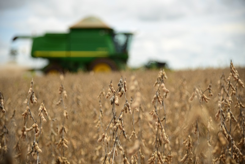 Família do agro entra em recuperação judicial com dívida de R$ 241 milhões