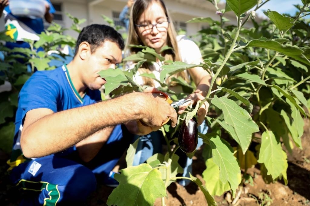Projeto contempla 300 unidades estaduais em 2025
