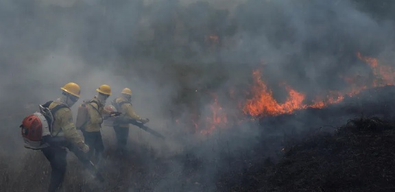 STF manda desapropriar terras devastadas por incêndios criminosos e desmatamento ilegal