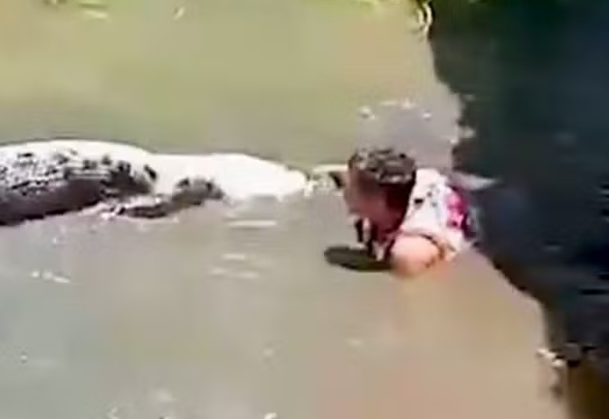 Turista confunde crocodilo de 4,5 metros com escultura, invade recinto e é atacado nas Filipinas