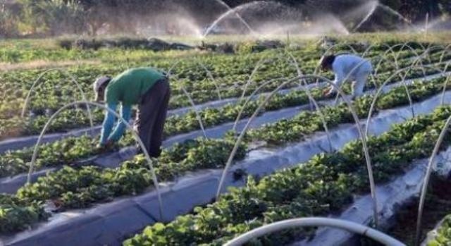 MT possui maior volume de crédito aprovado pelo BNDES para o setor agrícola