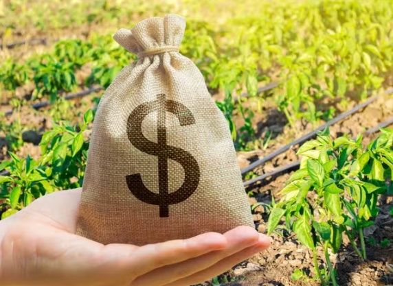 Governo anuncia liberação de R$ 179 milhões para o seguro rural