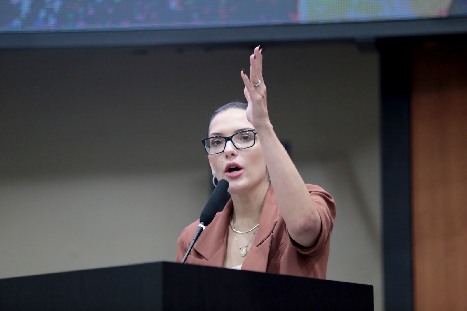 Janaina cobra emendas e desafia Mendes a vir para a arena da disputa eleitoral