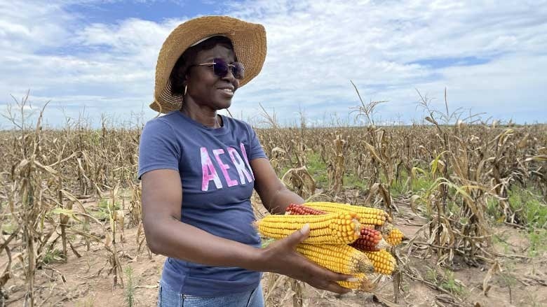 Documento vai nortear planos do agro brasileiro para Angola