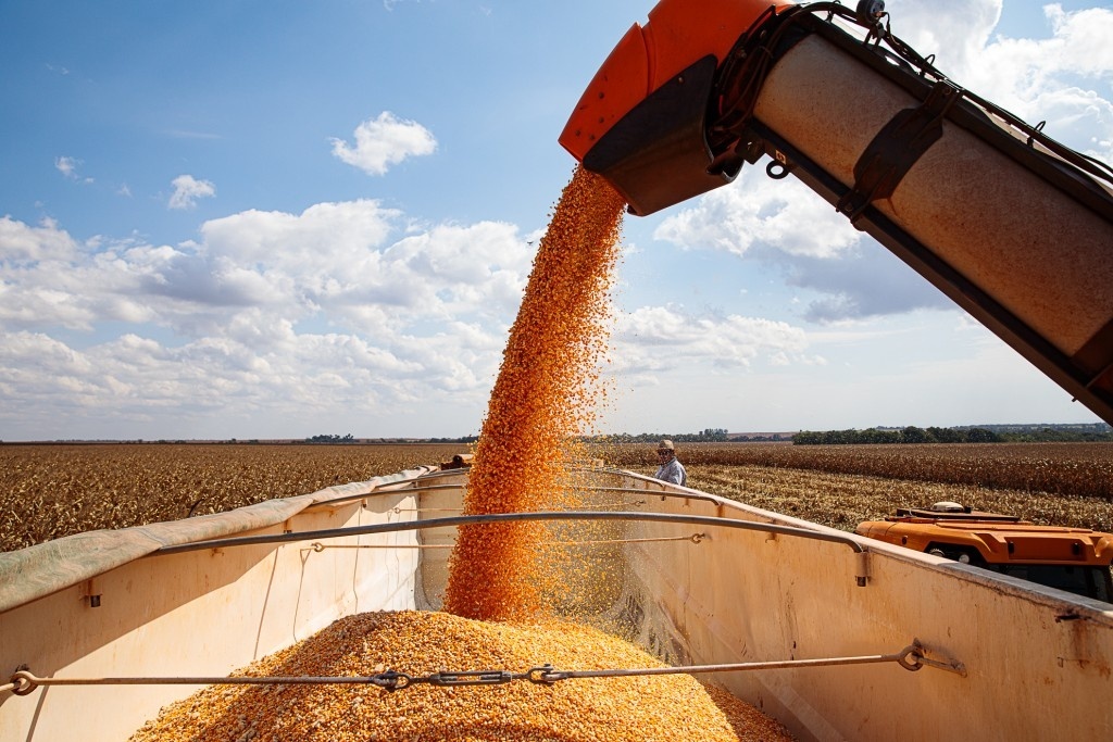MT lidera produção agrícola e puxa novo recorde da safra de grãos no país