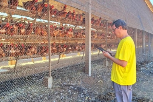 Após caso no RS, Mato Grosso intensifica barreiras contra gripe aviária