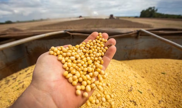 Por que o agro (especialmente a soja) puxou o crescimento da economia no início do ano