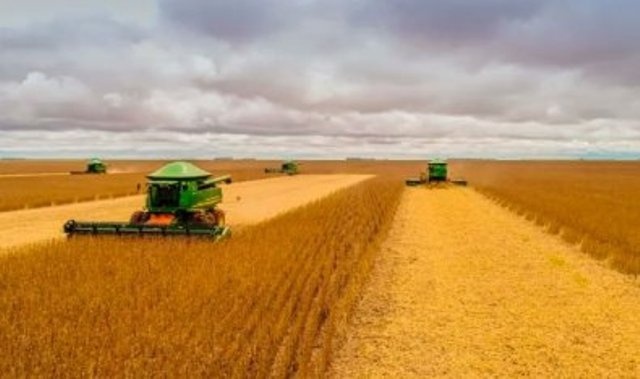 Família do agro confisca colheitadeiras de grupo com RJ suspensa em MT