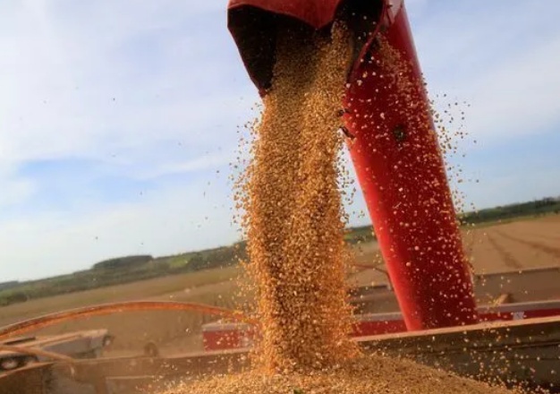 Taxação de LCAs desestimula investidores e impacta crédito rural, diz CNA