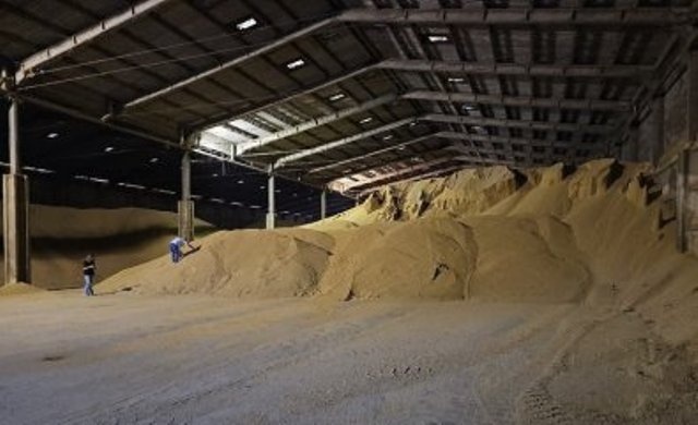 PF mira 'barões do agro' em MT e PR por exportar soja com areia; 1 é preso