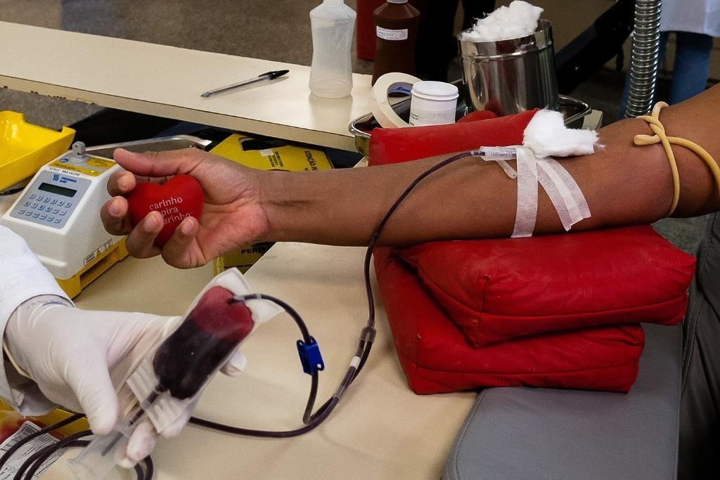 Mato Grosso tem 70.271 cadastrados para doar medula óssea; veja como se inscrever