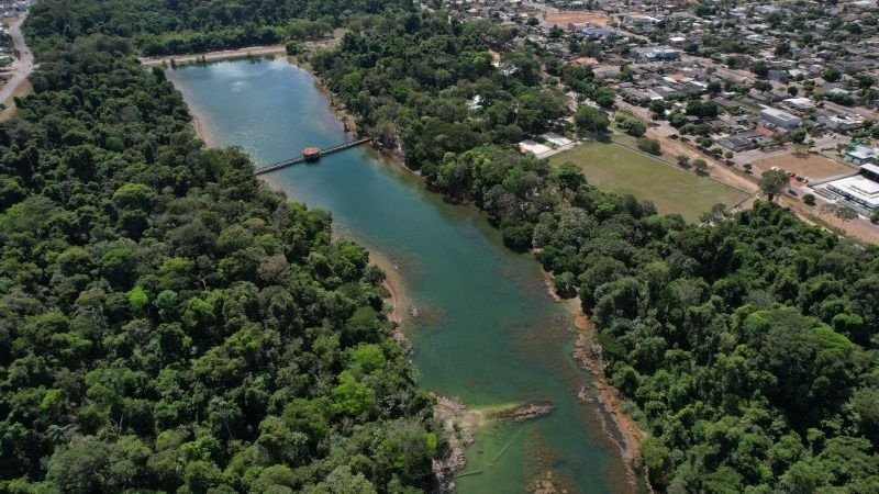 Workshop de arborização urbana acontece nesta terça-feira em Sinop