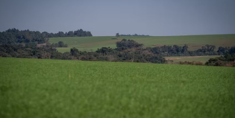 Governo confirma bloqueio de R$ 445,1 milhões no seguro rural em 2025