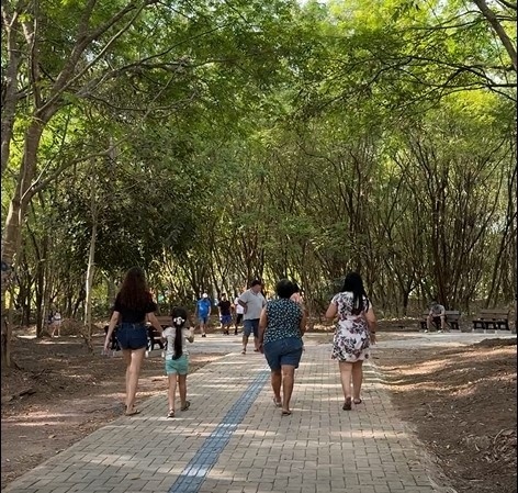 Parque Jardim Botânico completa 1 ano como patrimônio ambiental de Sinop