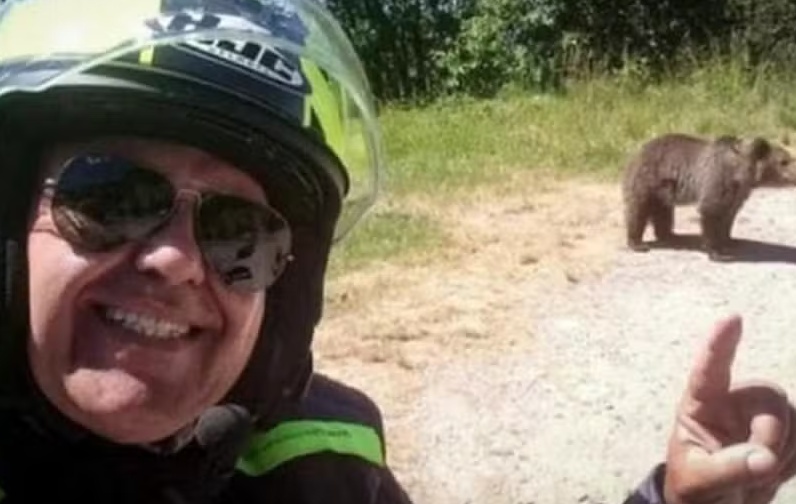 Motociclista italiano é morto por ursa após tirar selfie com os animais em famosa estrada da Romênia