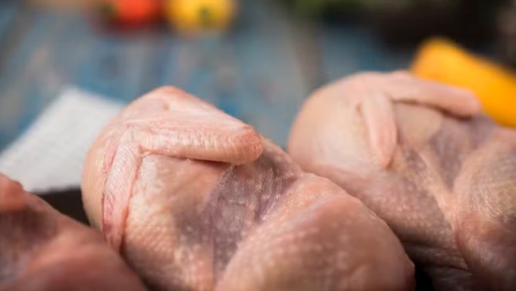 Exportações de carne de frango caíram 21,2% em junho com embargos por gripe aviária