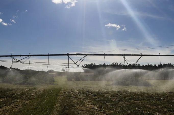 Agro brasileiro pede 'resposta firme e estratégica' contra tarifa de Trump