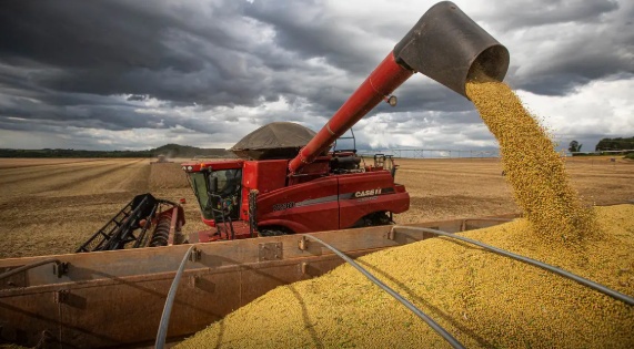 Produção de grãos deve crescer 14% e chegar a 340 milhões de toneladas