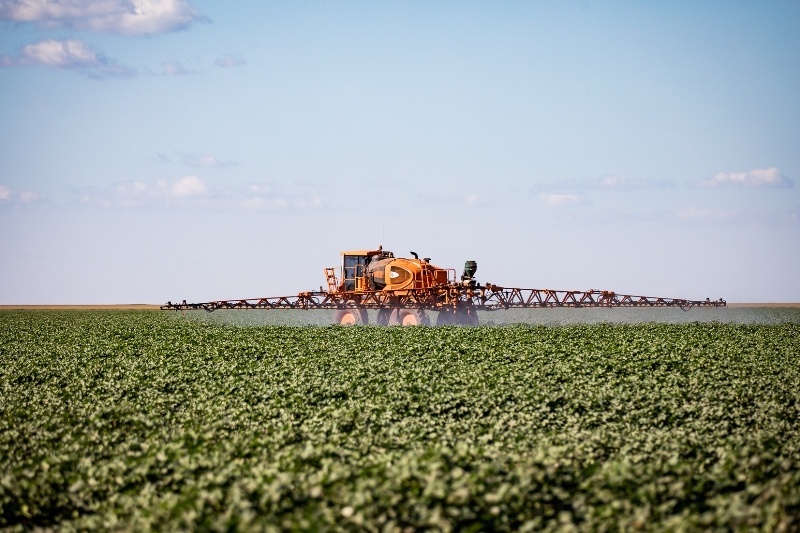 Mato Grosso puxa alta na estimativa de produção agrícola e consolida liderança nacional