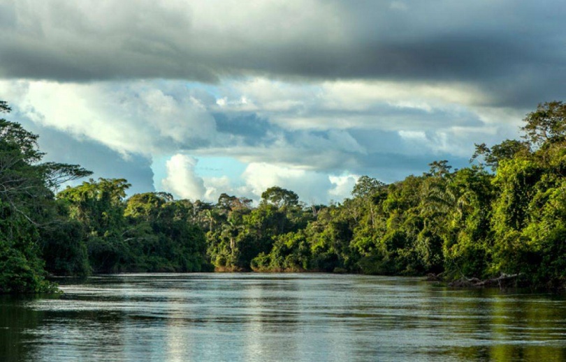 Requisitos para novas unidades de preservação ambiental em MT são questionados no STF