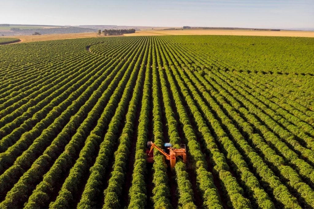 Agro brasileiro vê impacto de US$ 5,8 bilhões com tarifaço dos EUA