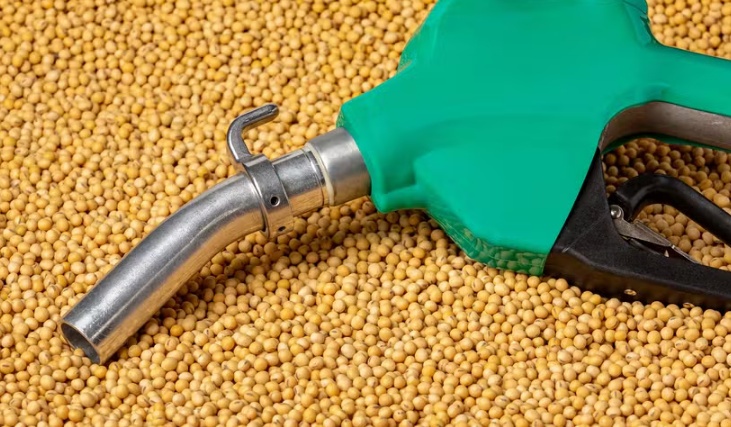 Indústria de soja tem condição de atender maior demanda de biodiesel