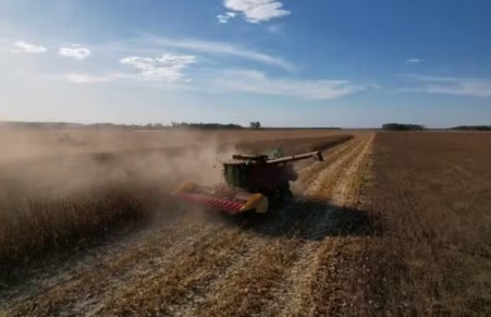 Técnicas aplicadas no agronegócio de MT podem combater insegurança alimentar