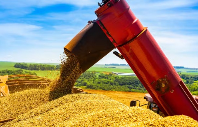 Preço da soja inicia agosto em alta no Brasil