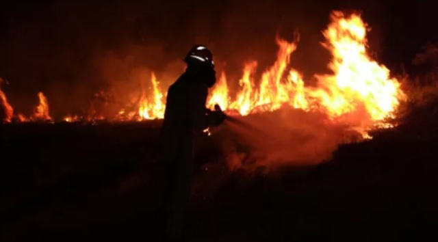 Mato Grosso lidera ranking de focos de calor no Brasil em 2025