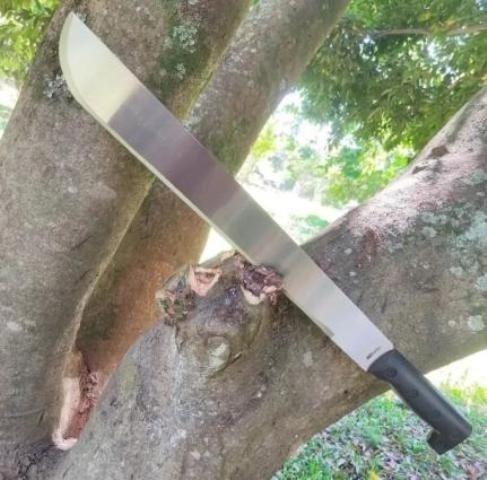 Idosa de 79 anos morre ao cair durante poda de árvore em quintal de casa