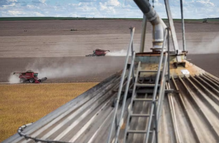 Problemas logísticos do agronegócio tendem a se agravar, afirmam especialistas