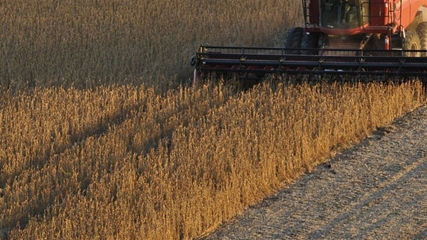 Preço da soja em Mato Grosso sobe mais de 5% e impulsiona comercialização