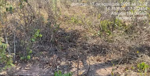 Grupo é preso após invadir reserva ambiental para desmatar e vender terrenos em MT