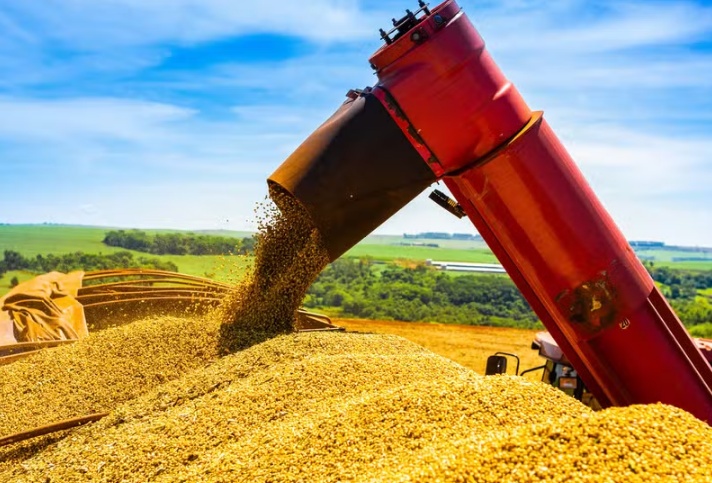 Soja sobe mais de 2% em Mato Grosso, em agosto