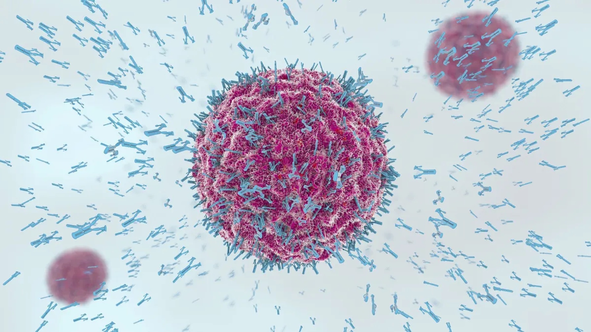 Cientistas descobrem 'fonte da juventude' do sistema imunológico; entenda