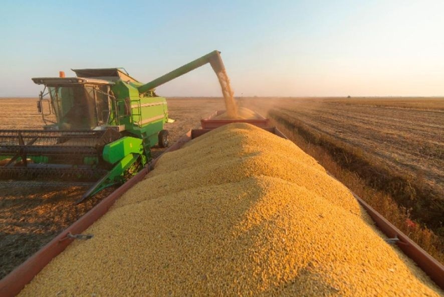Justiça encerra recuperação judicial de produtores em Sinop