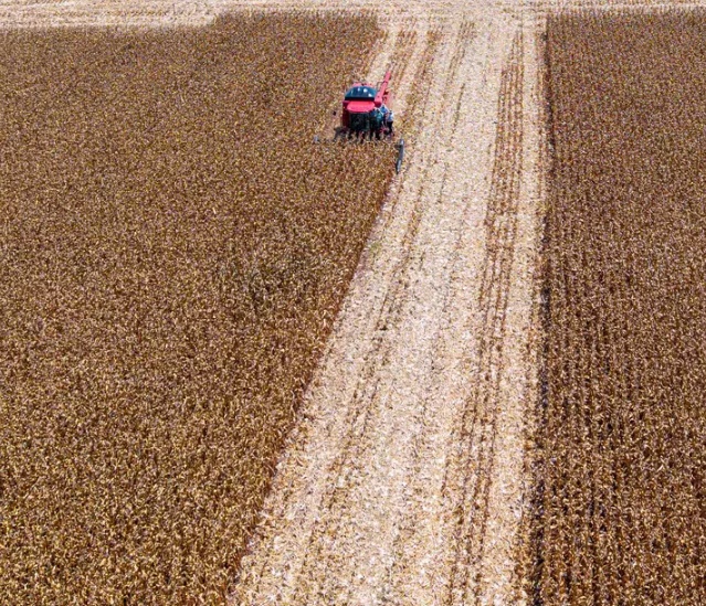 Safra ‘cheia’ e exportação impulsionaram lucro de empresas do agro no 2º trimestre