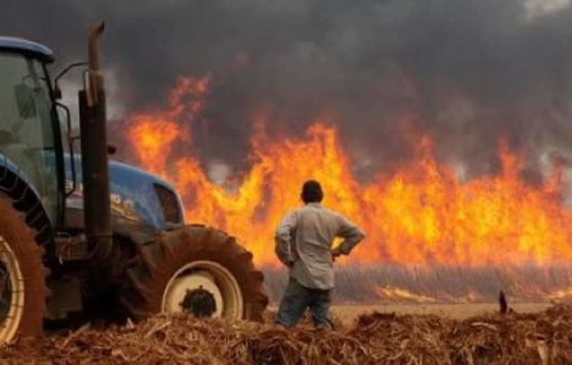 Consema perdoa R$ 16 milhões em multas em 'barões do agro' de MT