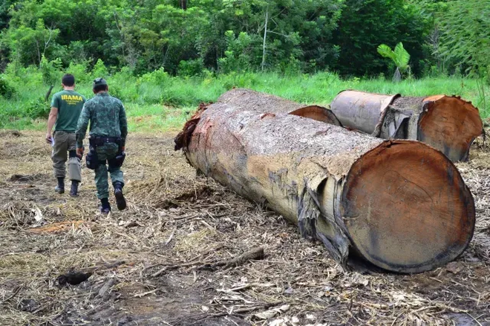 Justiça recupera R$ 5,7 milhões em multas ambientais para Mato Grosso