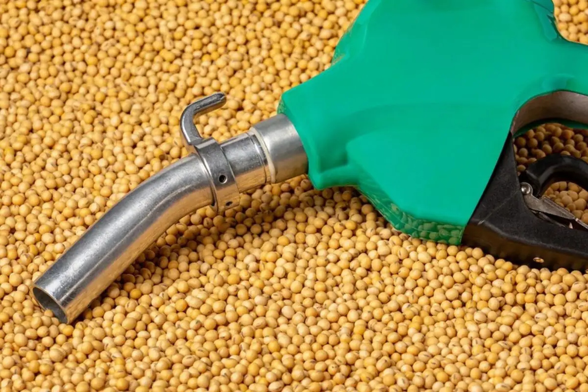 MT lidera produção de biodiesel e conecta soja às ruas do Brasil