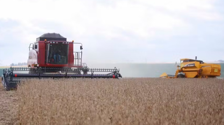 Grãos impulsionam PIB da agropecuária no 2º trimestre