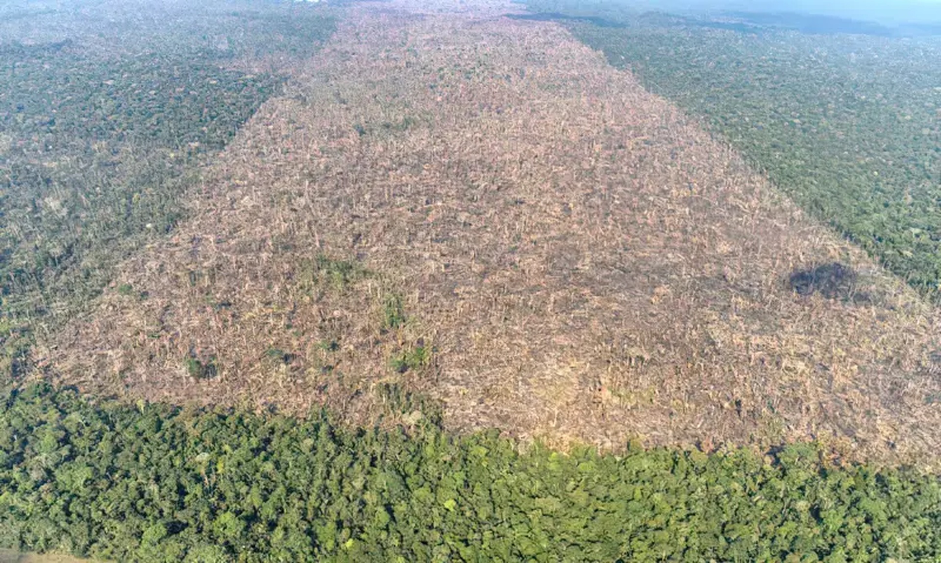 Justiça anula R$ 1,5 milhão em multas de pecuarista considerado maior desmatador da Amazônia