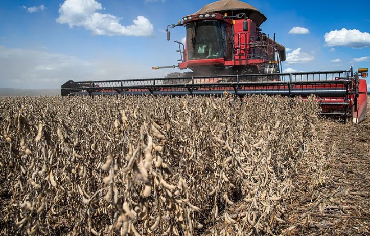 Valor da produção agrícola do Brasil caiu quase 4% em 2024