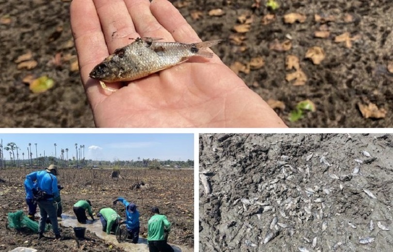 Relatório técnico aponta risco estrutural e ambiental na UHE Colíder
