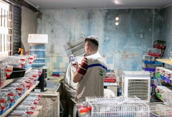 Canil clandestino com cães e hamsters é interditado após animais serem flagrados comendo cadáveres
