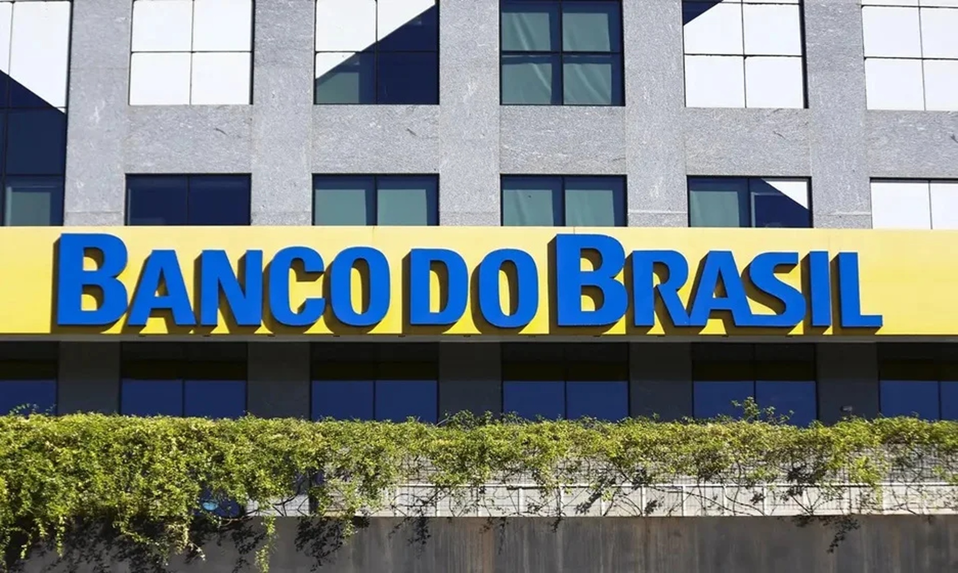 ‘Banco do agro’: BB tem ‘inadimplência resiliente’ no setor, mas prevê melhora, diz CEO