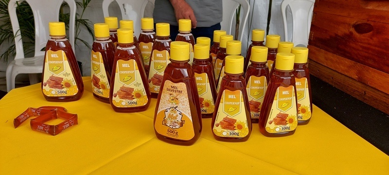 Projeto da Empaer coloca Sinop em 1º lugar em número de produtores orgânicos de MT